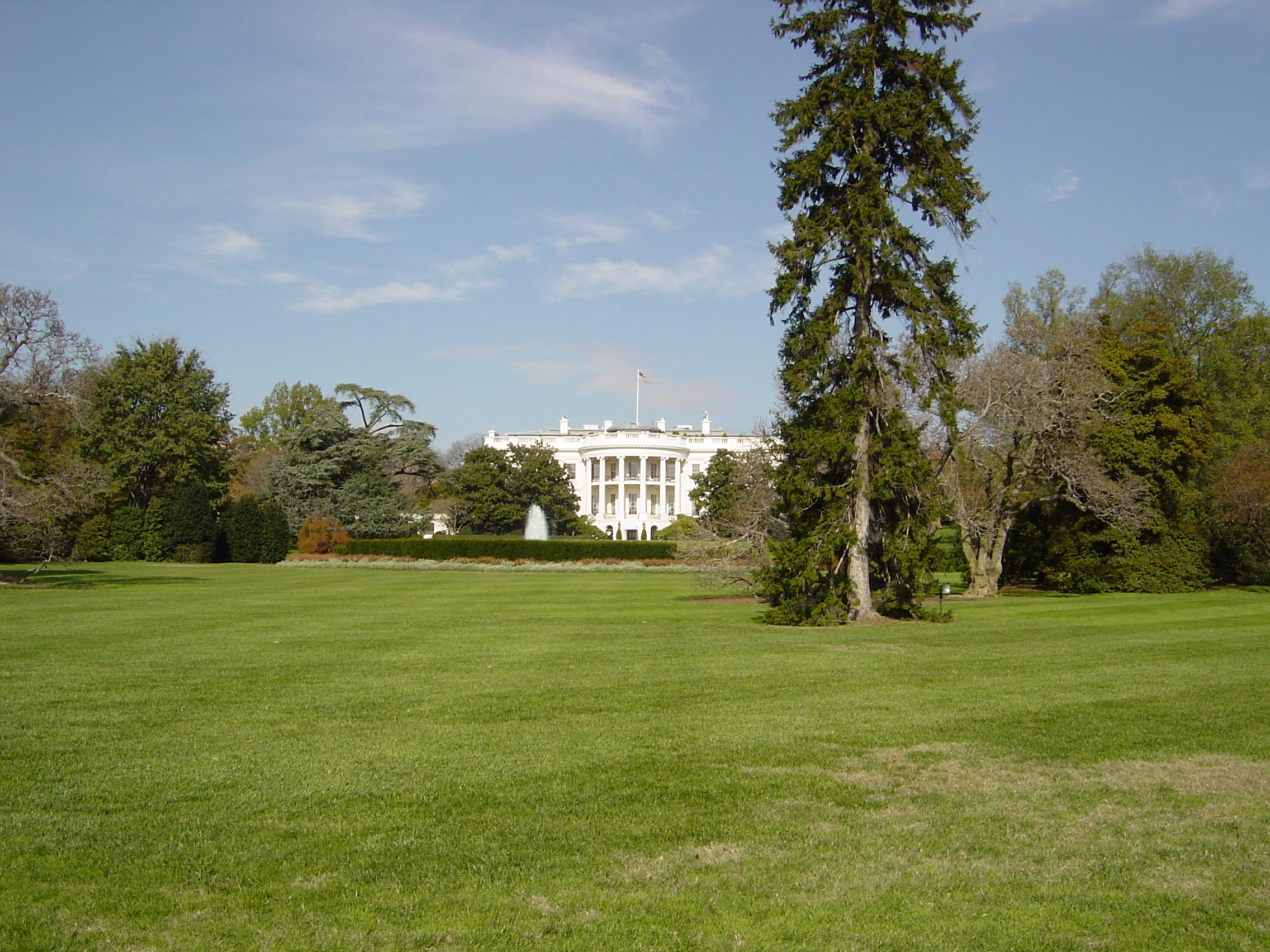 DSC00562.JPG