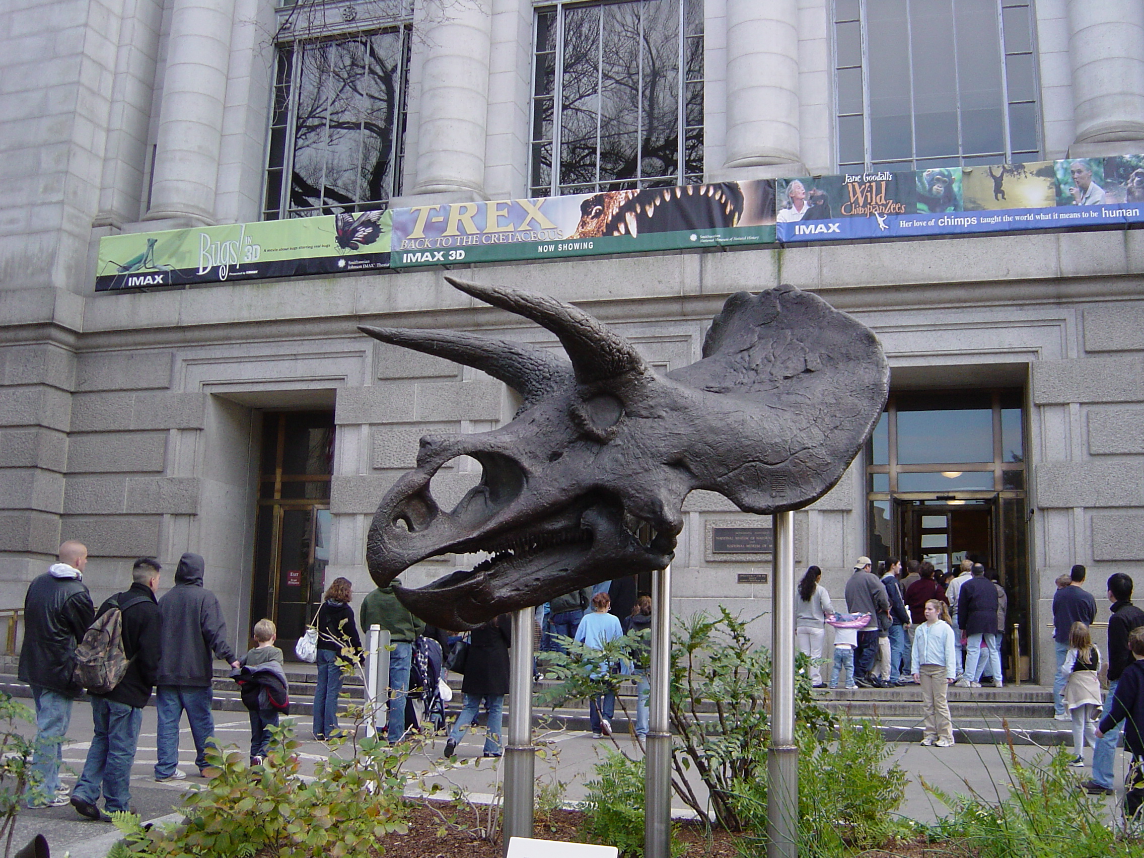 DSC00571.JPG
