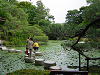 DSC00802_thumb.png