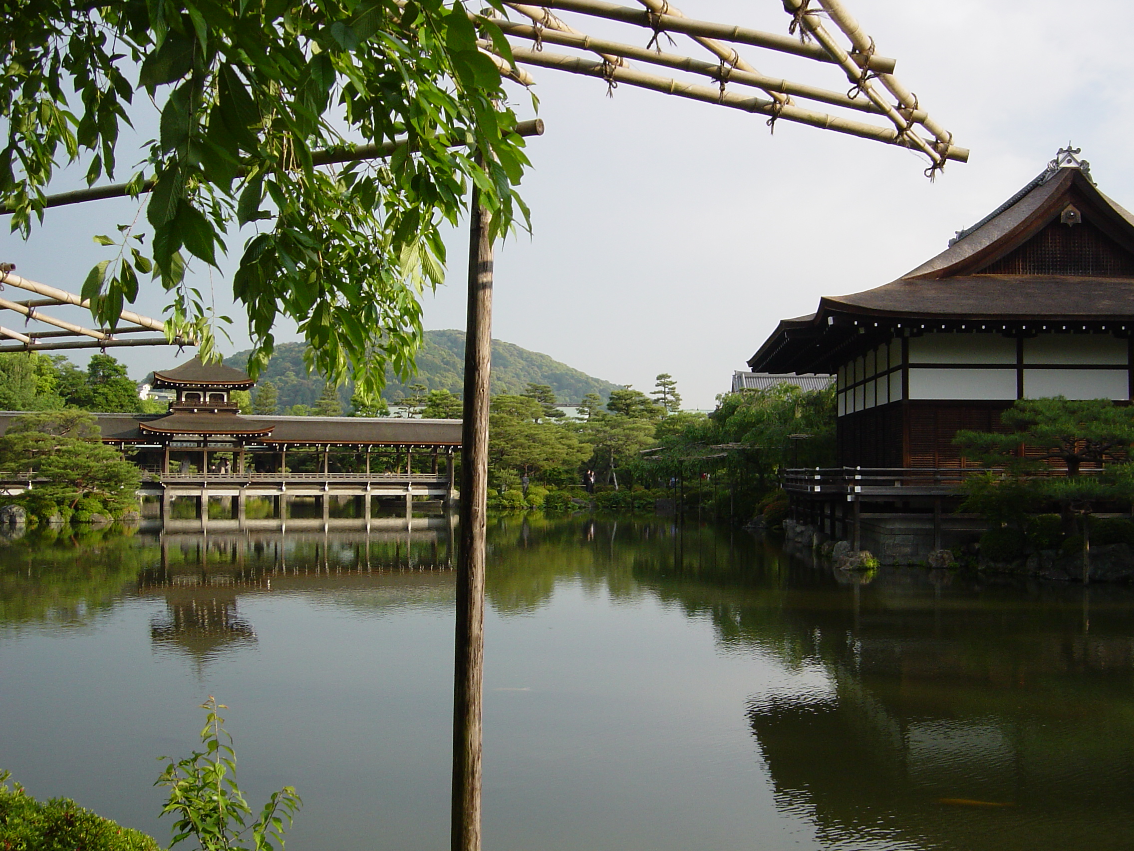 DSC00804.JPG