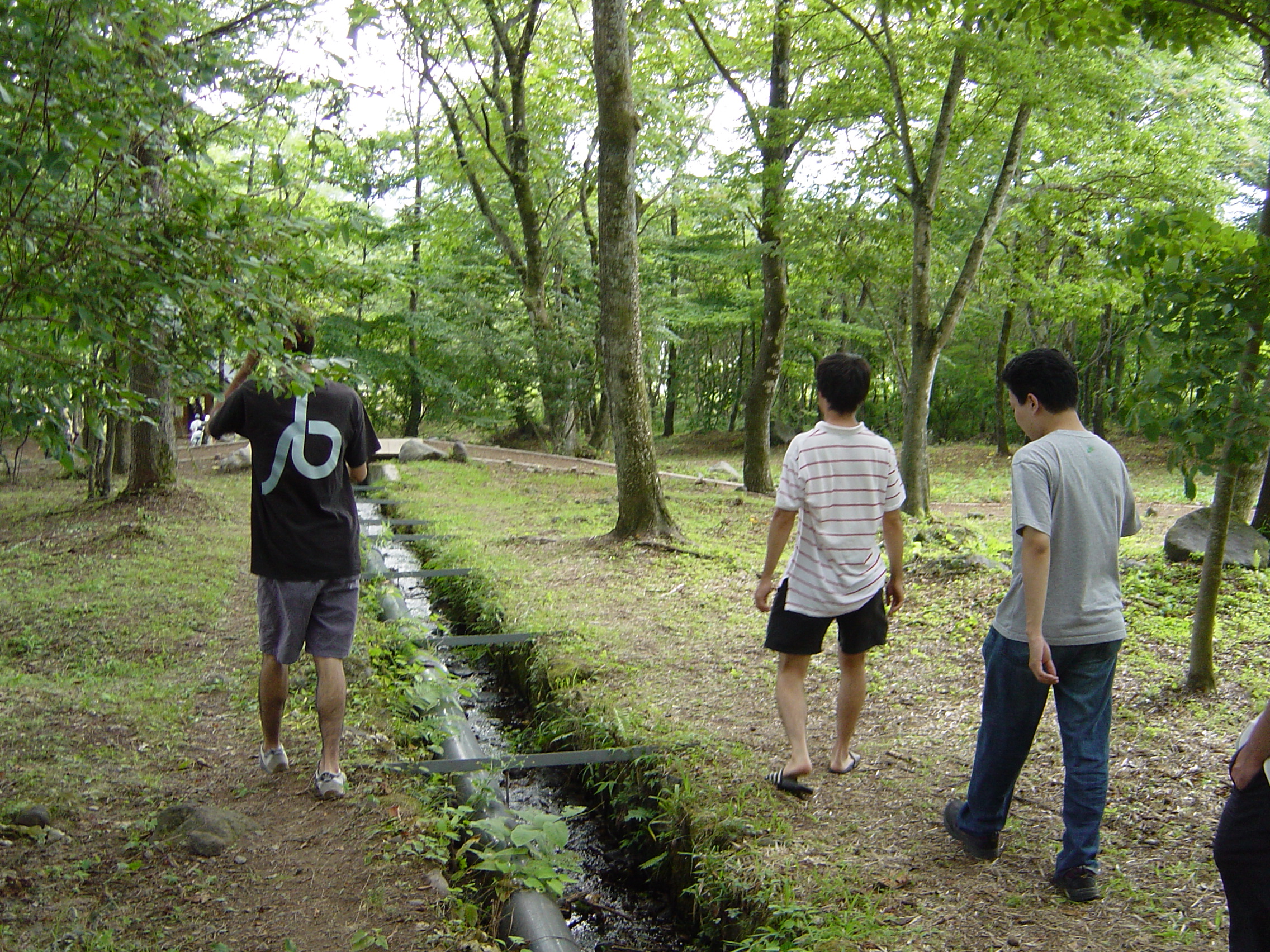 DSC01065.JPG
