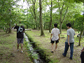 DSC01065_thumb.png
