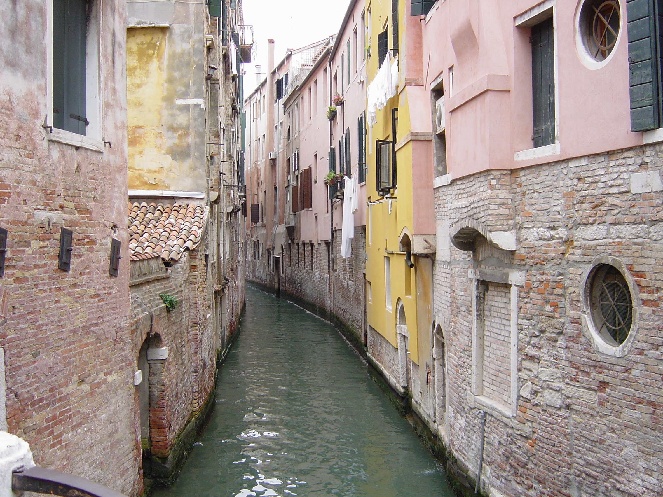 DSC01133.JPG