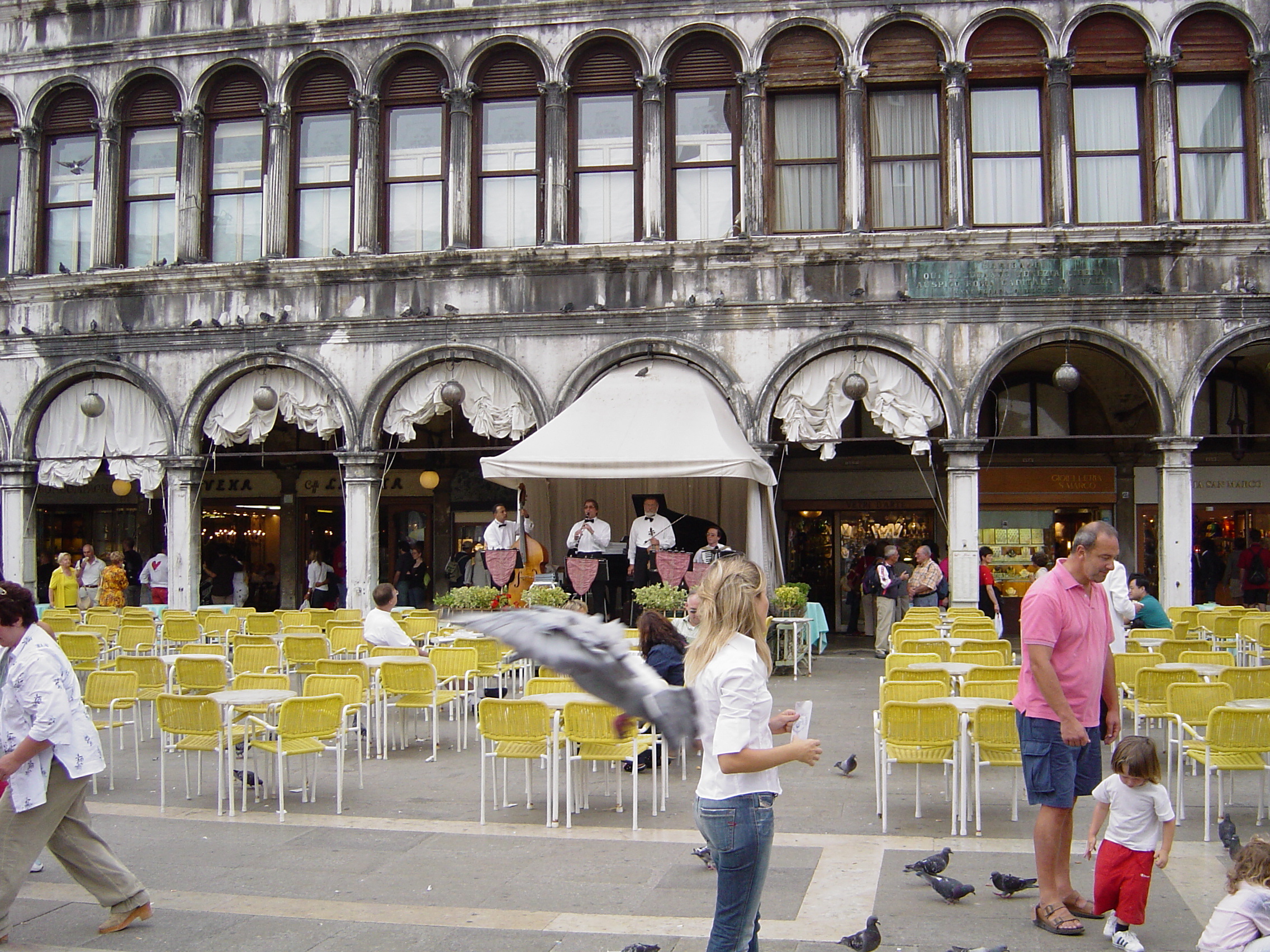DSC01139.JPG