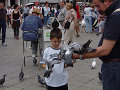 DSC01141_thumb.png