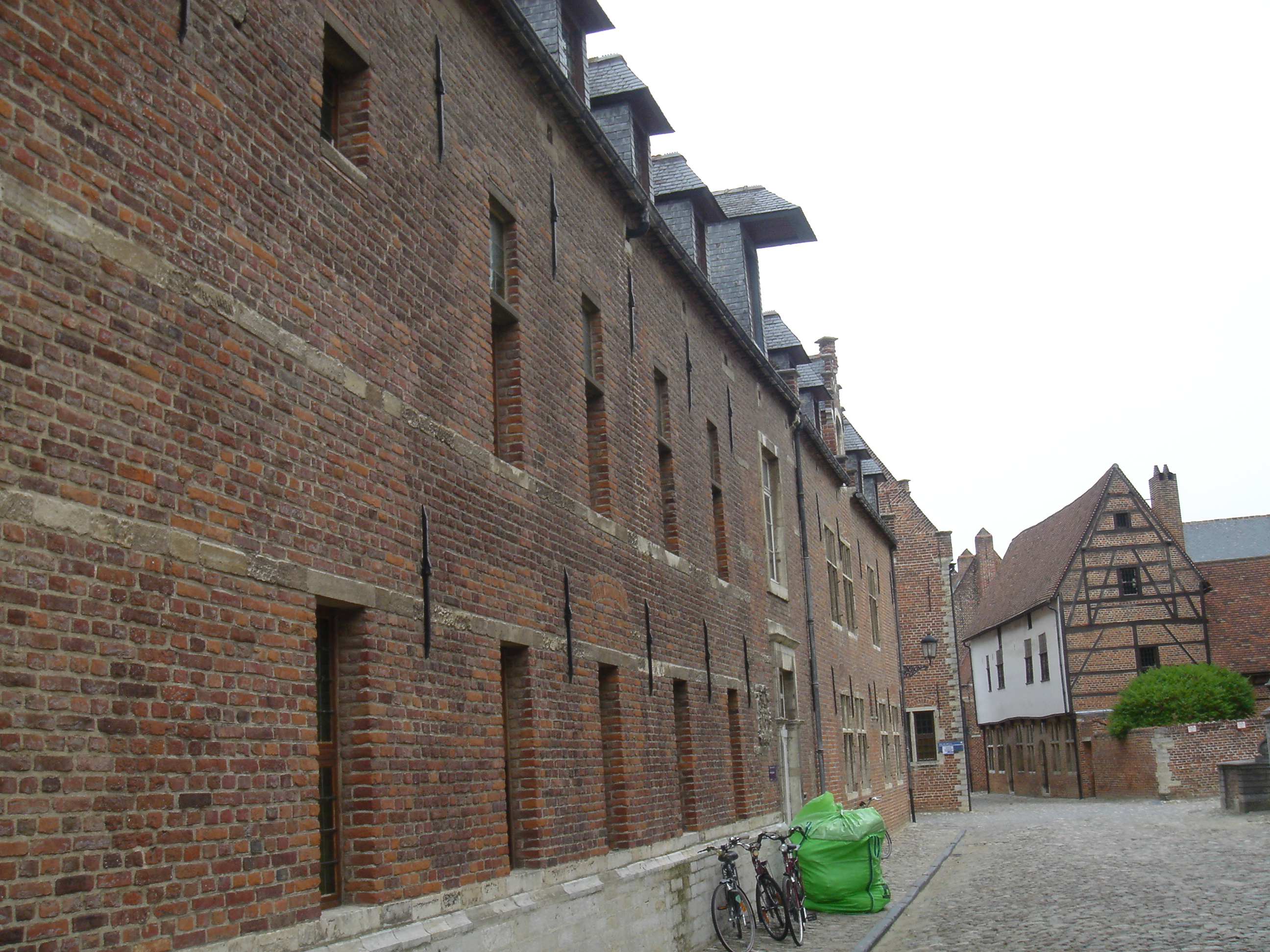 DSC00203.JPG