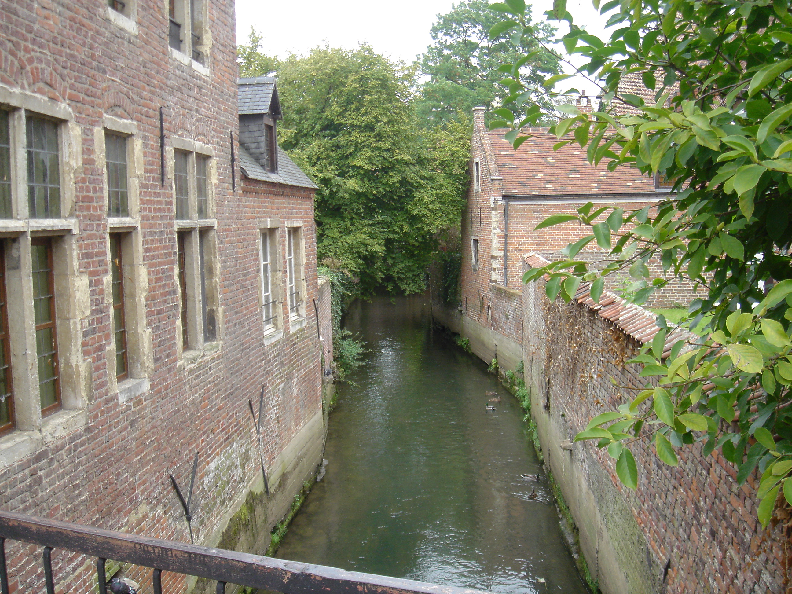 DSC00204.JPG