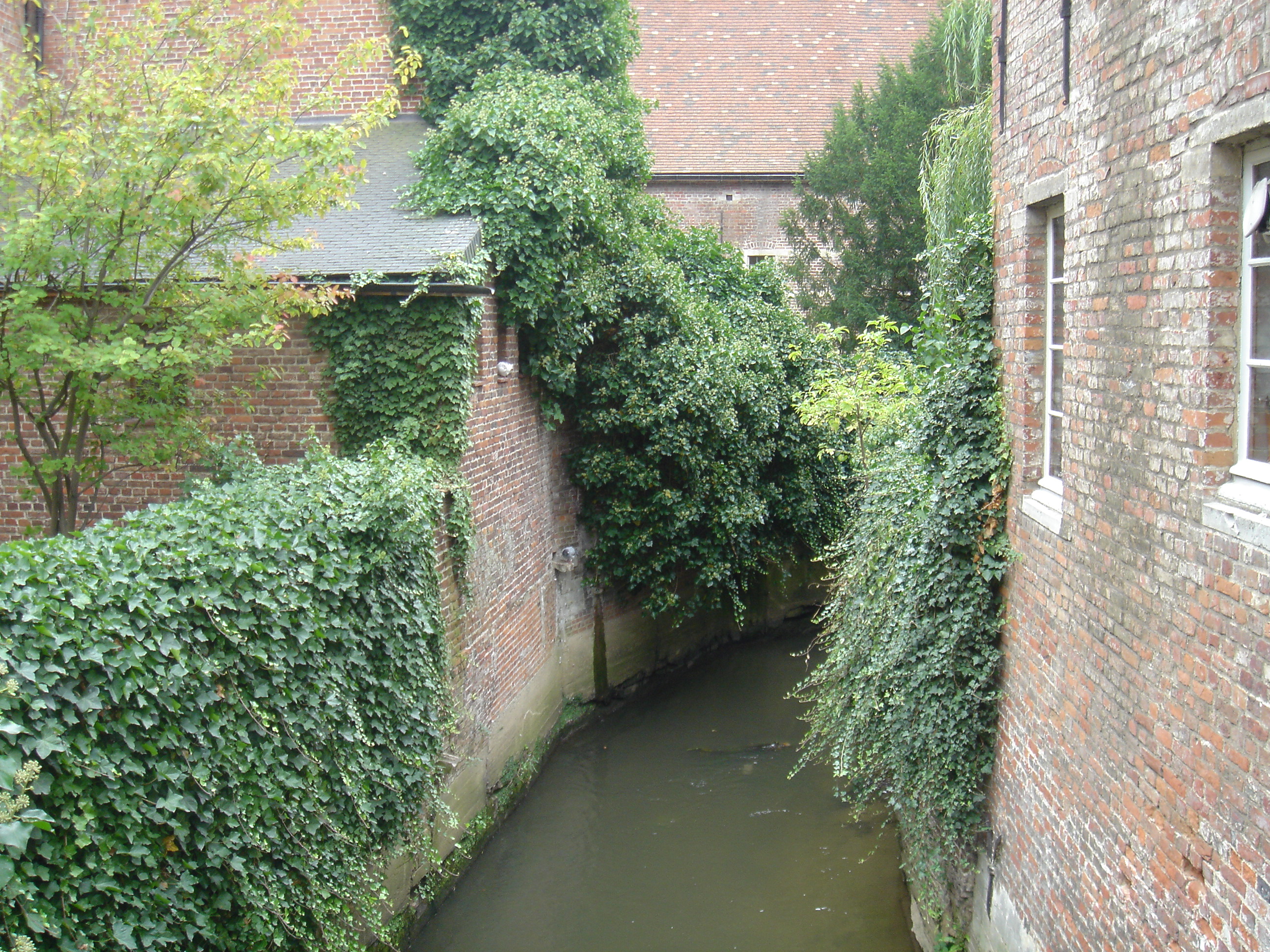 DSC00205.JPG