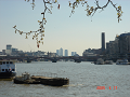 Thames_thumb.png
