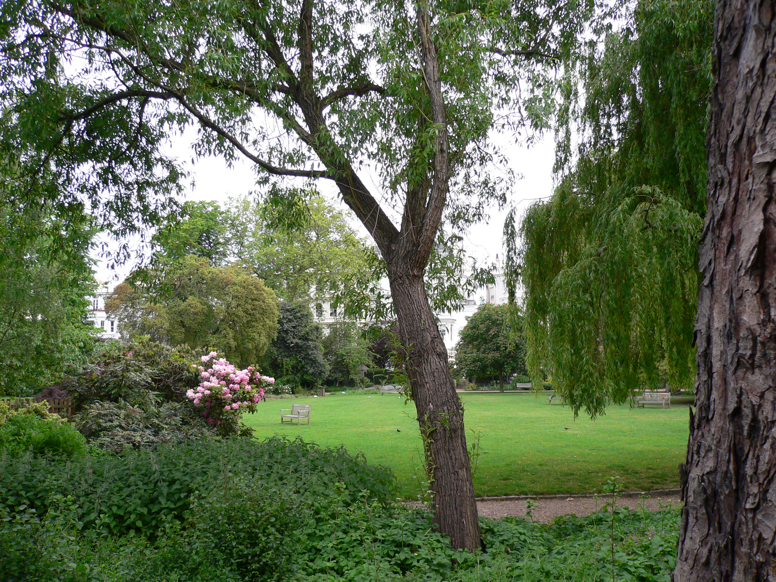 P1000299.JPG