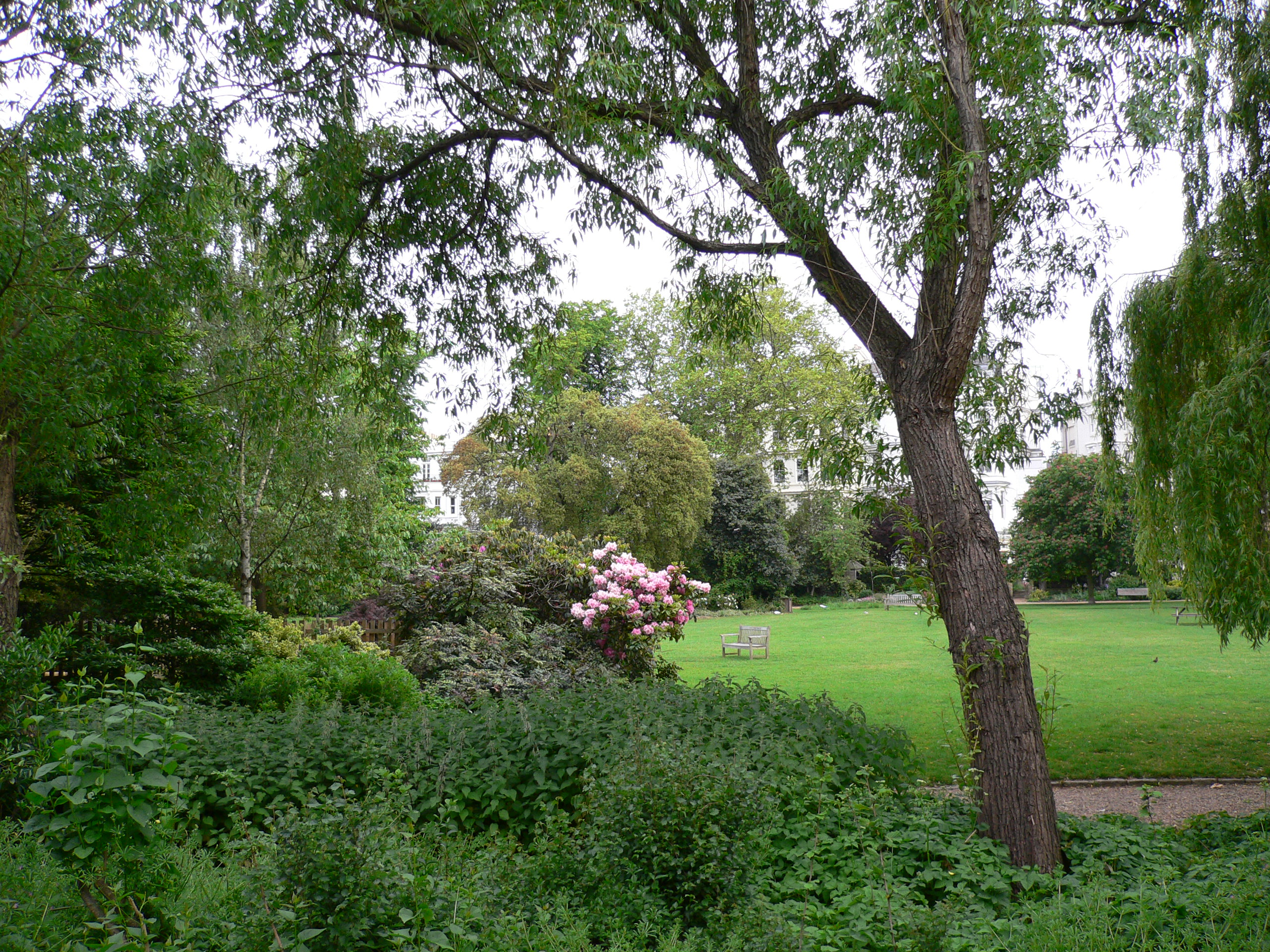 P1000300.JPG