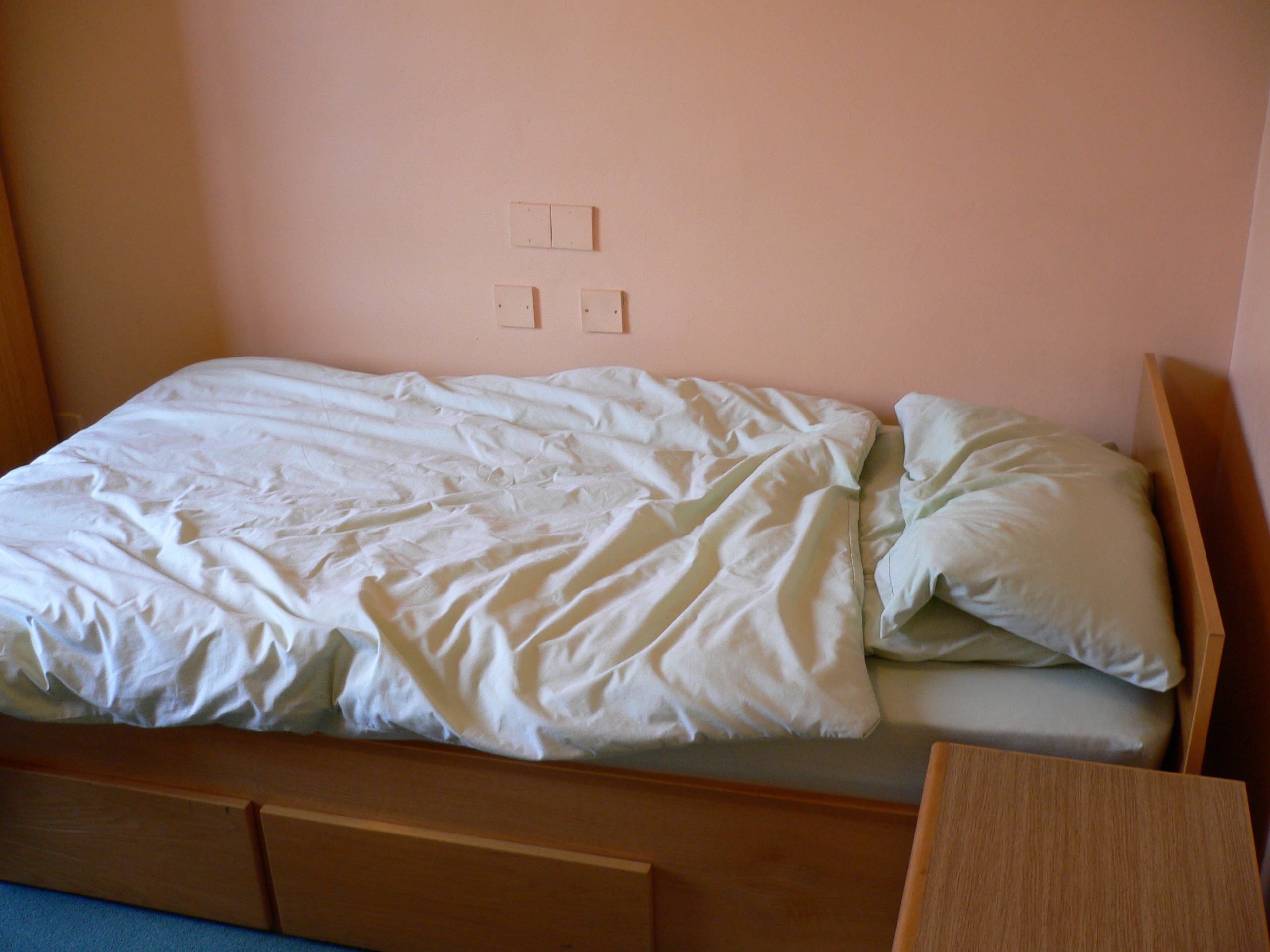 P1000308.JPG