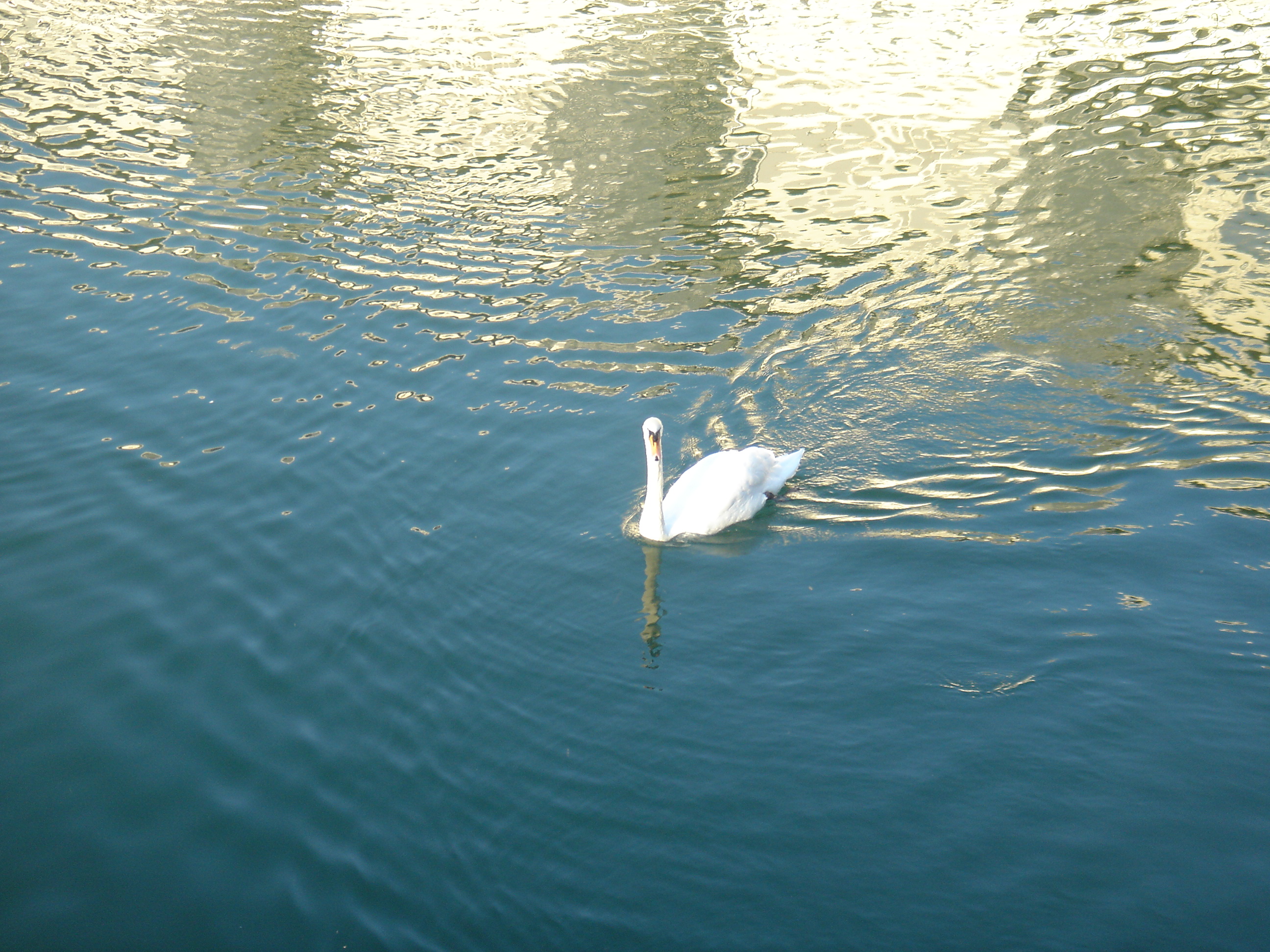 DSC02147.JPG