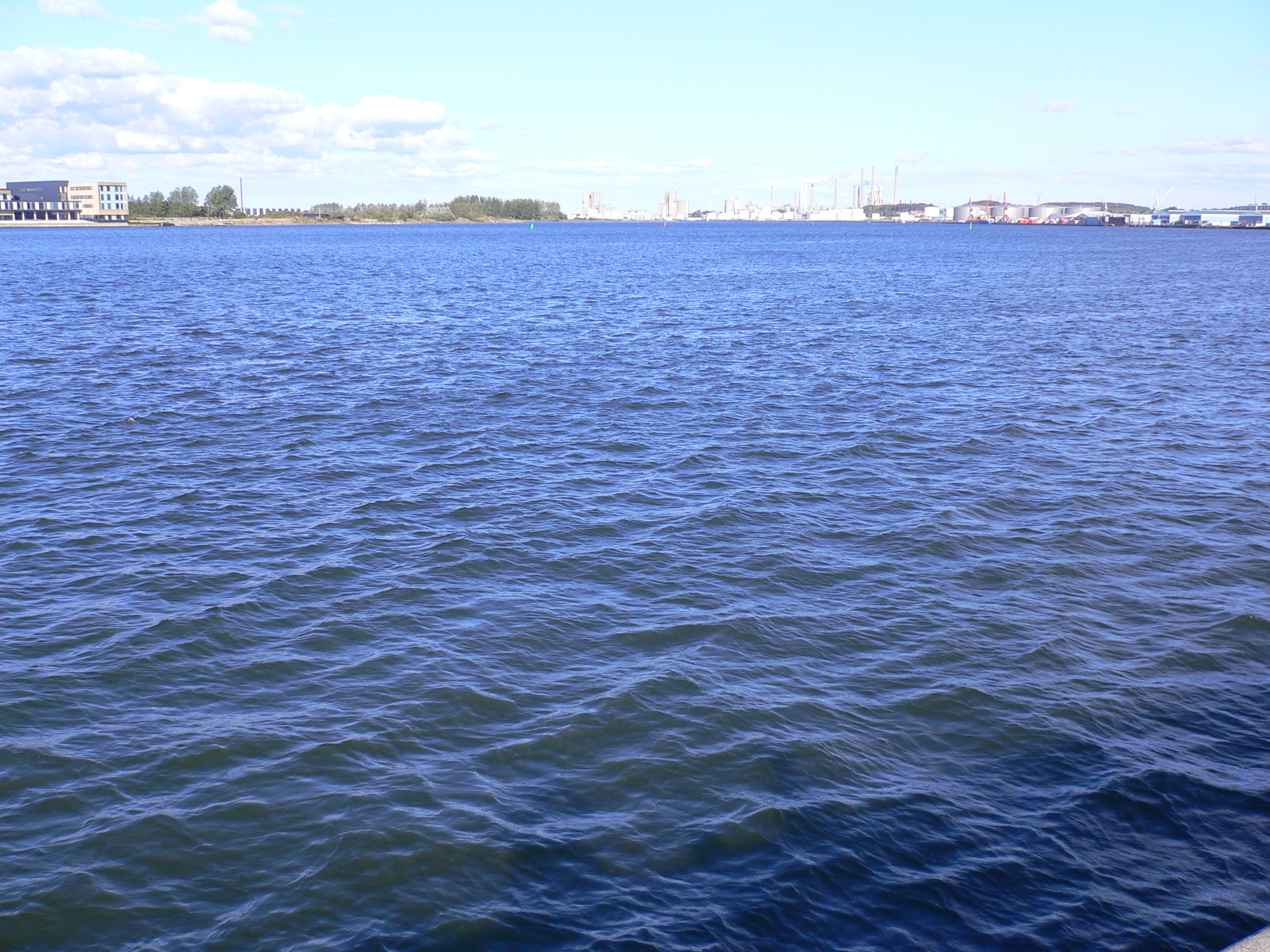 P1000425.JPG