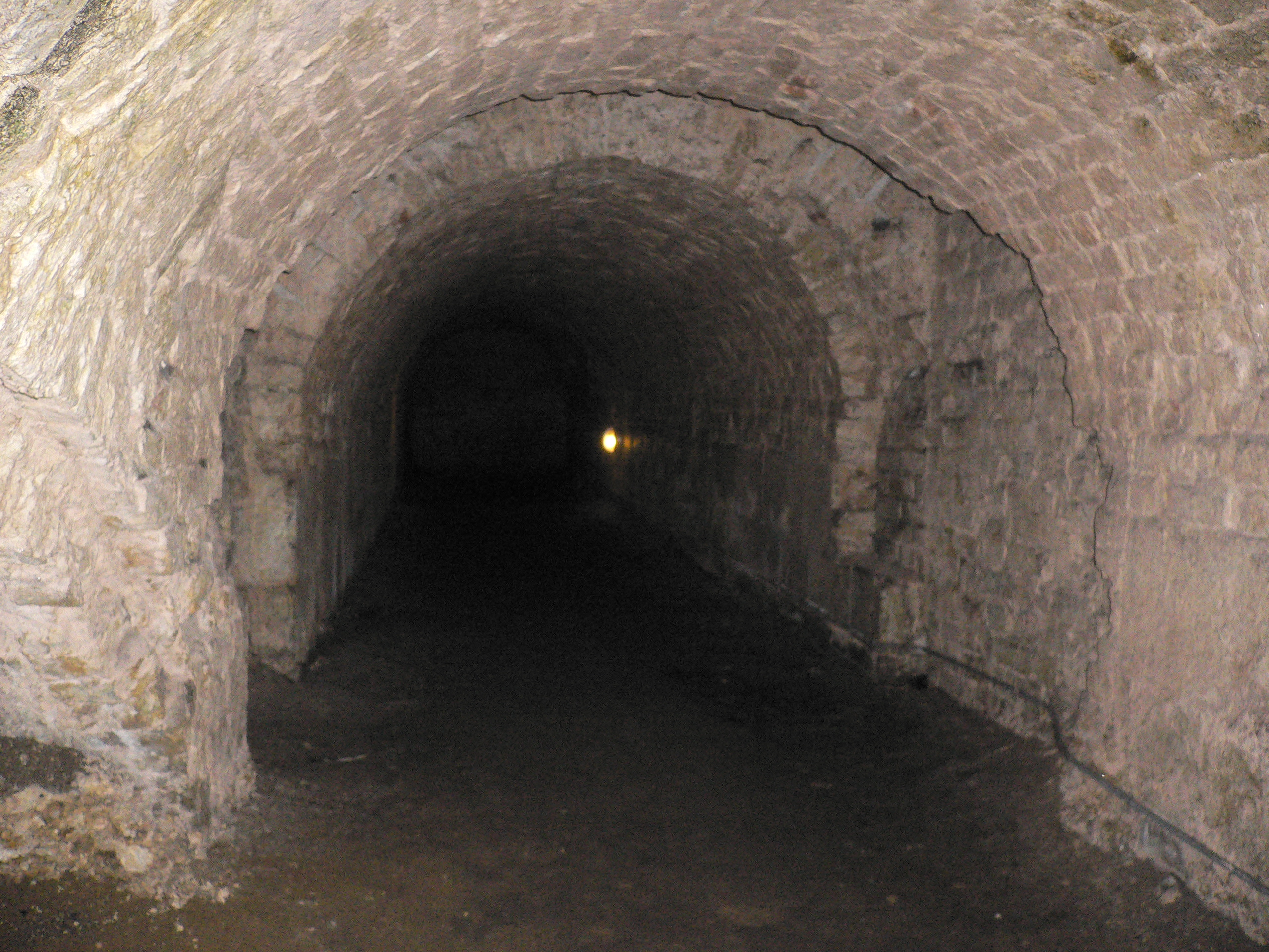 P1000431.JPG