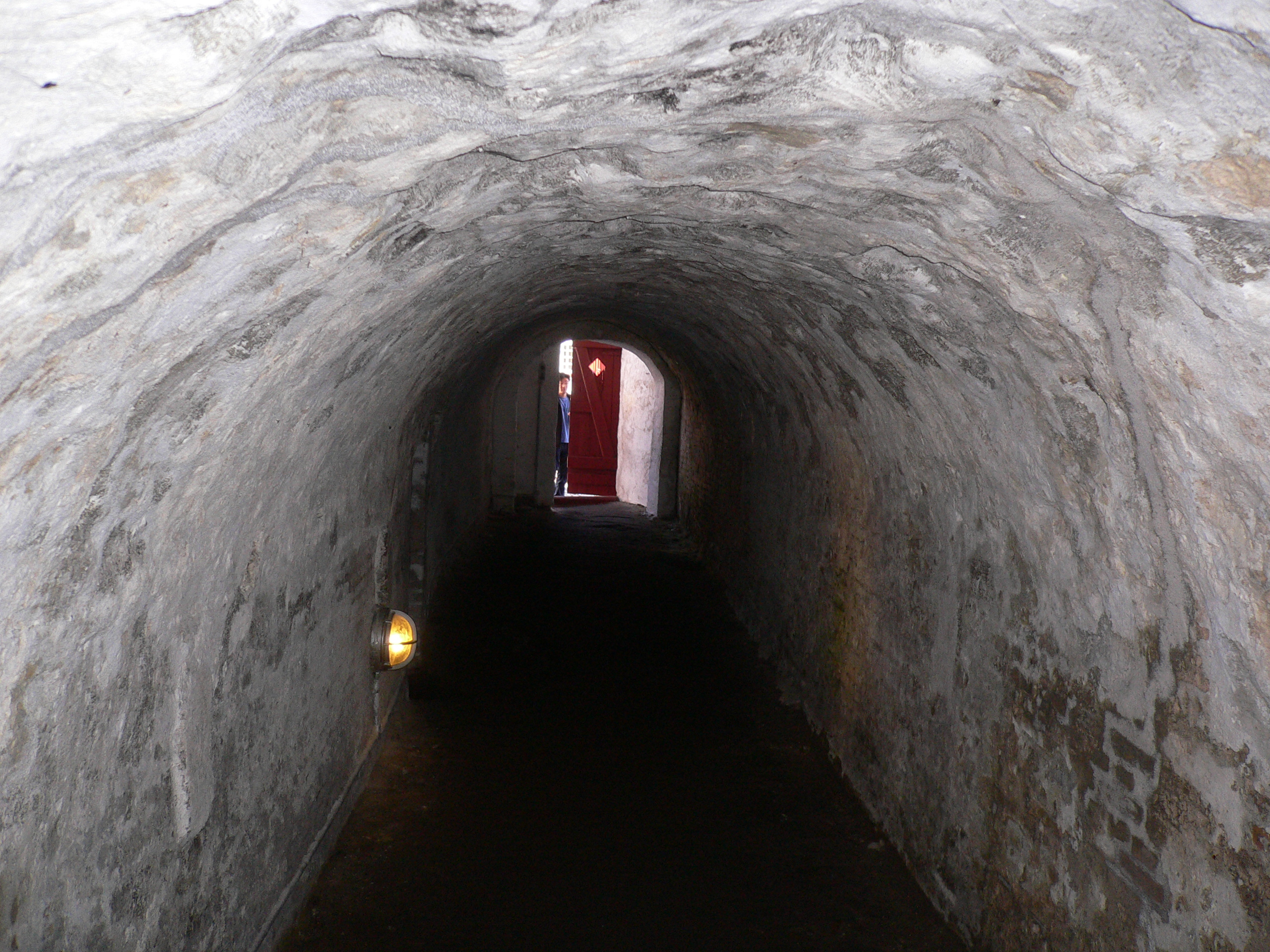 P1000432.JPG