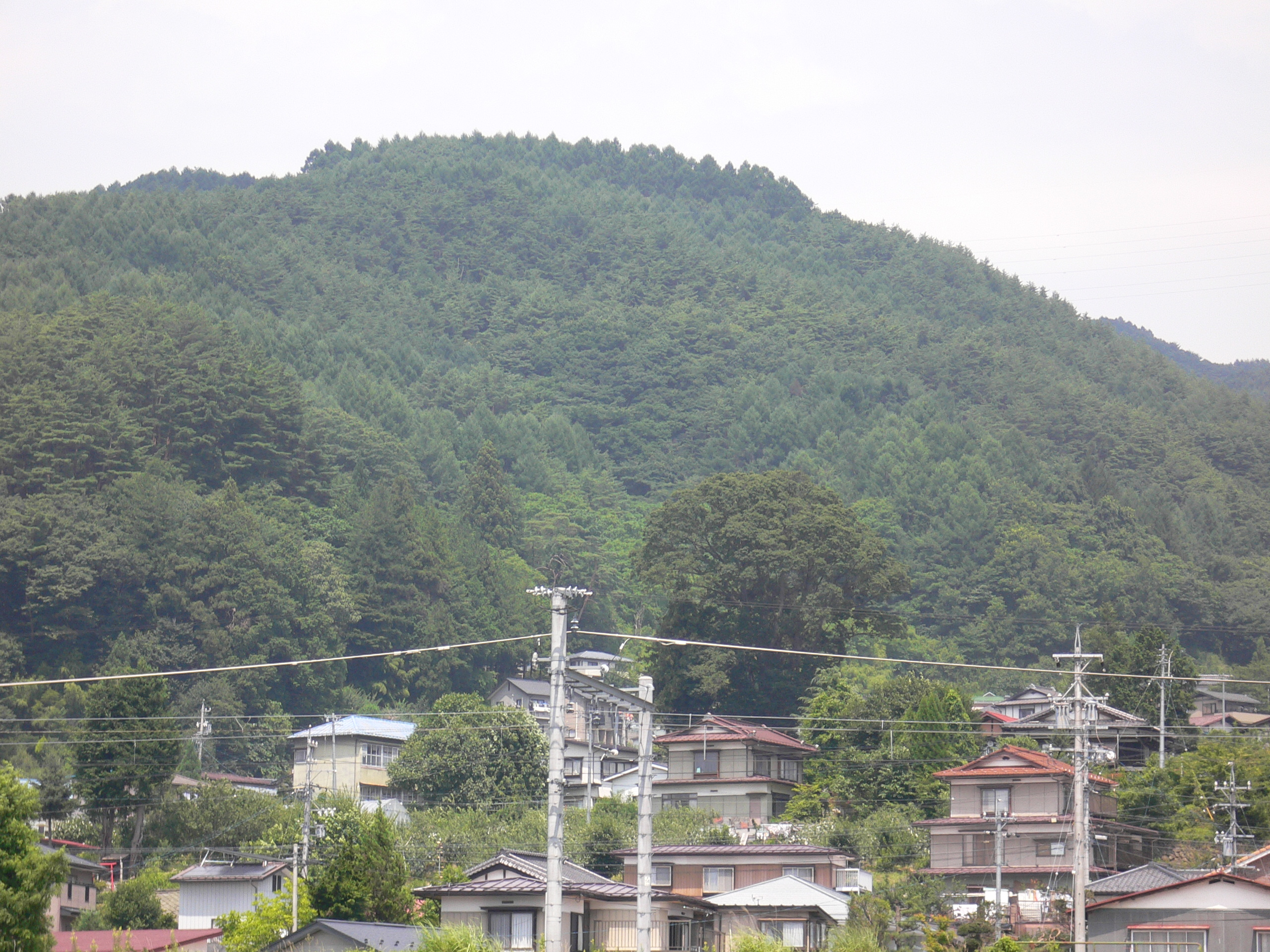 P1010514.JPG