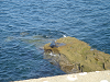 DSC03496_thumb.png