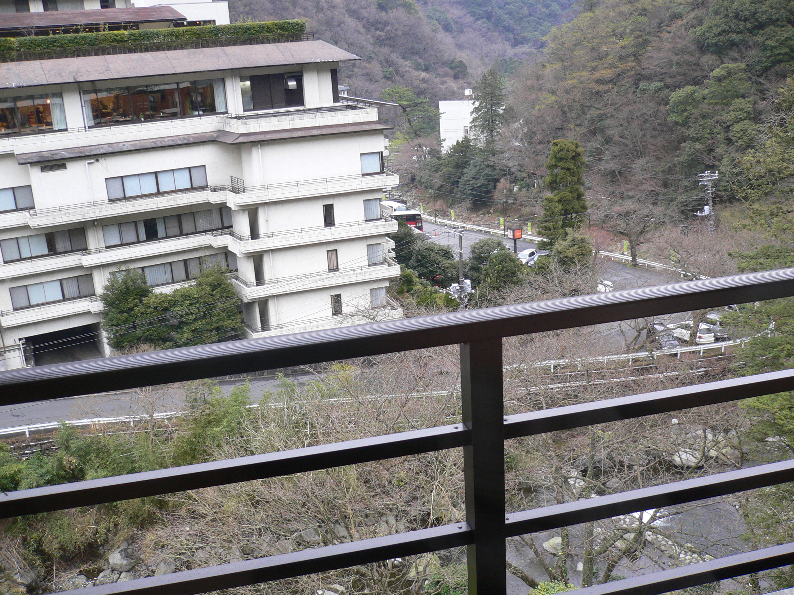 P1020384.JPG