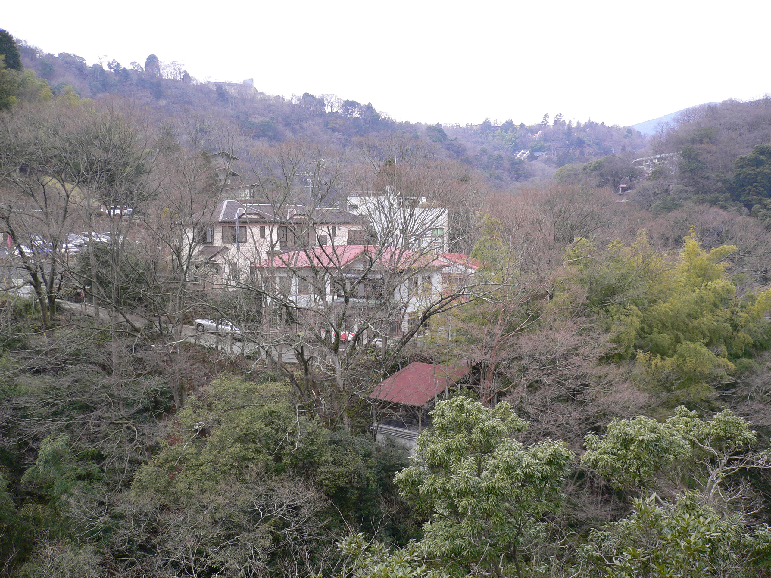 P1020411.JPG