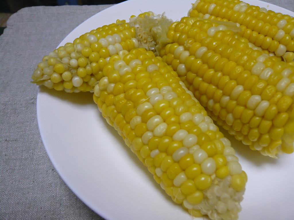 P1000282